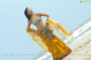 Beautiful Shruti Haasan High Definition Photos