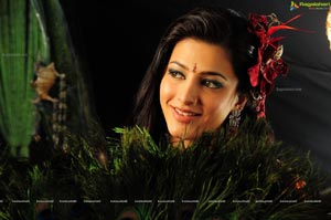 Beautiful Shruti Haasan High Definition Photos