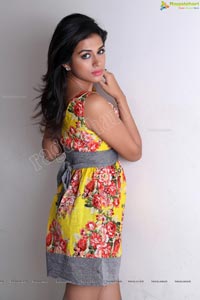 Shraddha Das in Short Gown - Ragalahari Studio Shoot