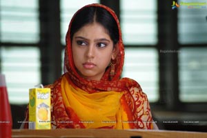 Beautiful Niti Taylor Poster Size Photos