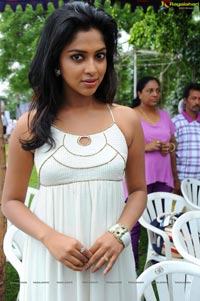 Amala Paul at Jandapai Kapiraju Muhurat