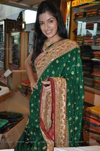 Hyderabad Model Annie in Saree Photos