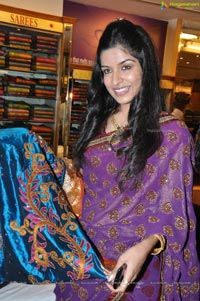 Hyderabad Model Annie in Saree Photos