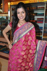 Hyderabad Model Annie in Saree Photos