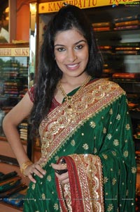 Hyderabad Model Annie in Saree Photos