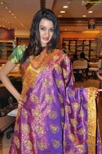 Hyderabad Model Diksha Panth in Saree Photos