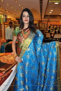 Hyderabad Model Diksha Panth in Saree Photos