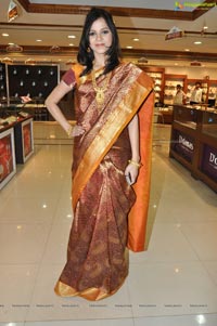 Hyderabad Model Himani Singh in Saree Photos