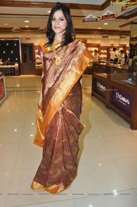 Hyderabad Model Himani Singh in Saree Photos