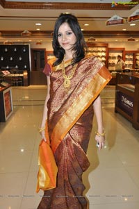 Hyderabad Model Himani Singh in Saree Photos