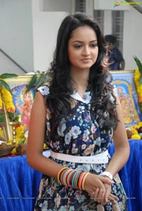 Adda Heroine Shanvi