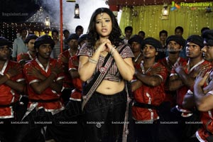 Item Girl Swetha Basu Prasad Photos