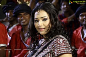 Item Girl Swetha Basu Prasad Photos