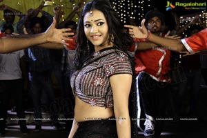 Item Girl Swetha Basu Prasad Photos