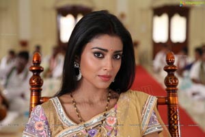 Azhagiya Tamil Magan Shriya Stills