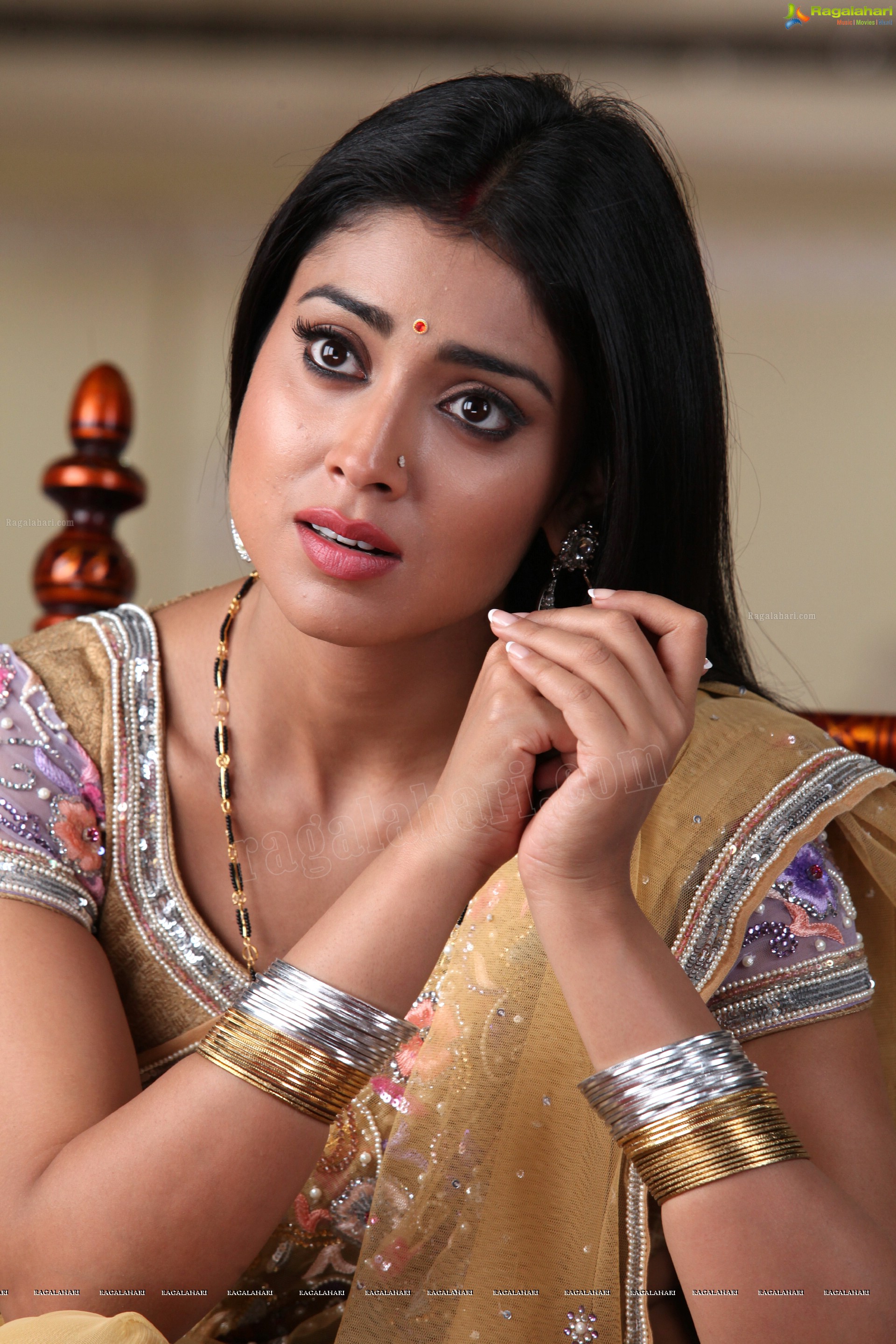 Shriya Saran (High Definition)