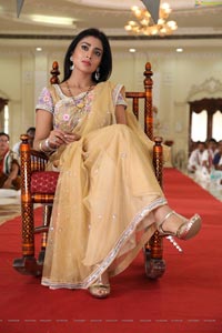 Azhagiya Tamil Magan Shriya Stills