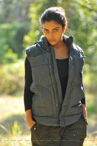 Download Amala Paul High Definition Stills