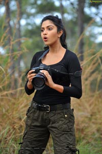 Download Amala Paul High Definition Stills