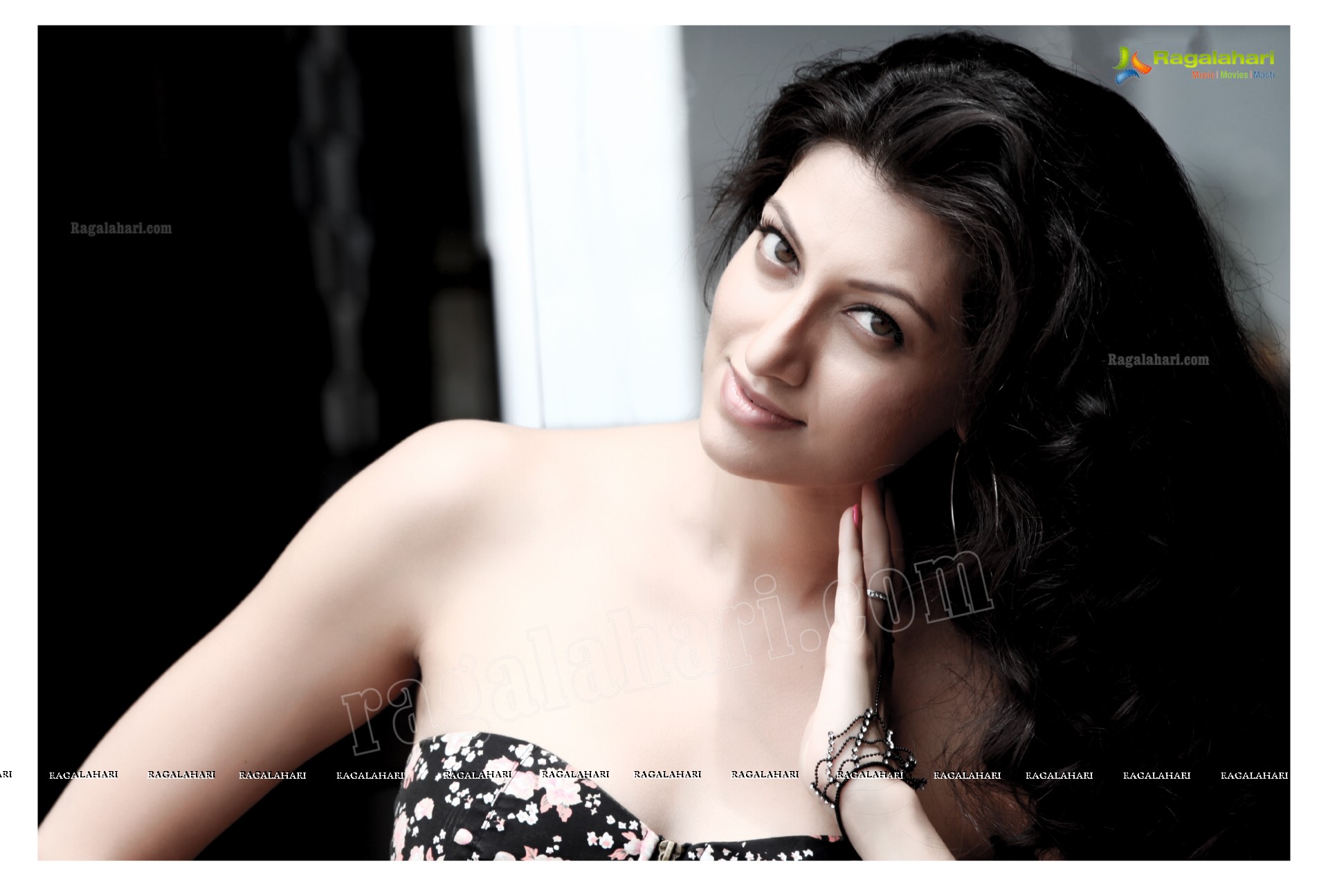 Hamsa Nandini (High Definition)