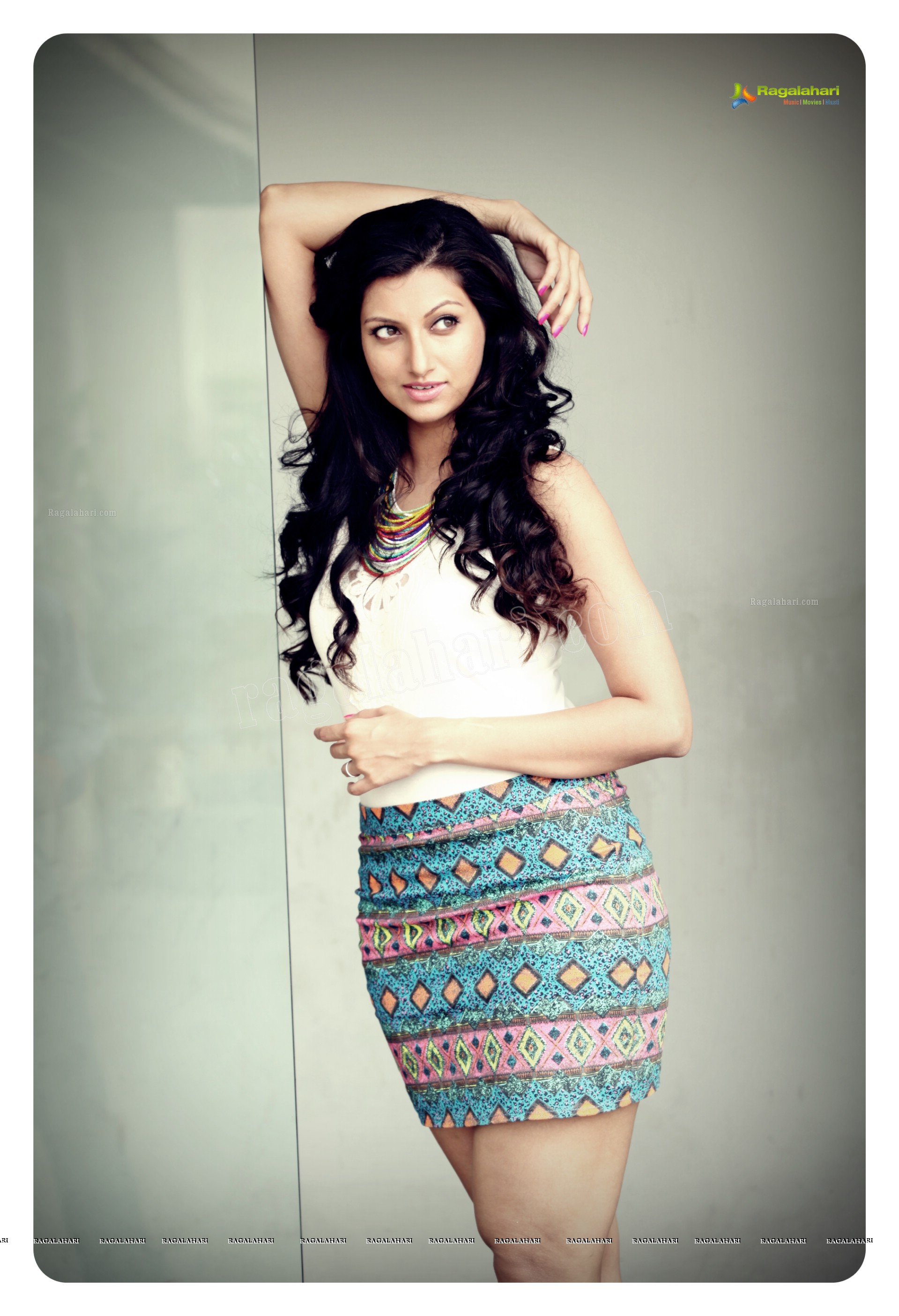 Hamsa Nandini (High Definition)