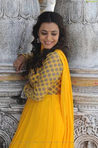 Ishtam Tamil Movie Heroine Nisha Aggarwal Wallpapers