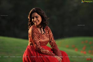 Ishtam Tamil Movie Heroine Nisha Aggarwal Wallpapers