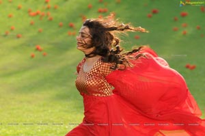 Ishtam Tamil Movie Heroine Nisha Aggarwal Wallpapers