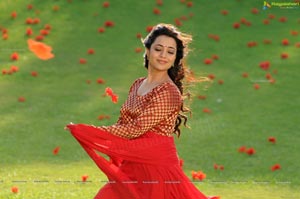 Ishtam Tamil Movie Heroine Nisha Aggarwal Wallpapers