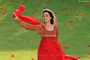 Ishtam Tamil Movie Heroine Nisha Aggarwal Wallpapers