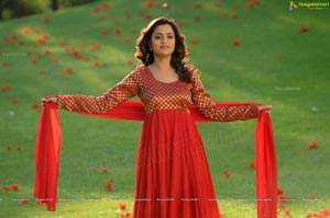 Ishtam Tamil Movie Heroine Nisha Aggarwal Wallpapers