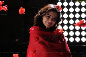 Ishtam Tamil Movie Heroine Nisha Aggarwal Wallpapers