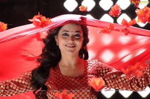 Ishtam Tamil Movie Heroine Nisha Aggarwal Wallpapers