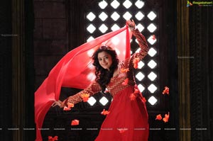 Ishtam Tamil Movie Heroine Nisha Aggarwal Wallpapers