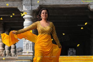 Ishtam Tamil Movie Heroine Nisha Aggarwal Wallpapers