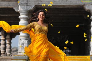 Ishtam Tamil Movie Heroine Nisha Aggarwal Wallpapers