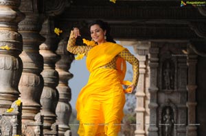 Ishtam Tamil Movie Heroine Nisha Aggarwal Wallpapers