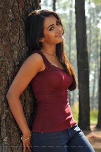 Paisa Heroine Catherine Tresa Photos