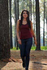 Paisa Heroine Catherine Tresa Photos