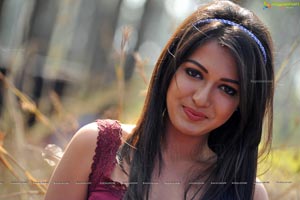 Paisa Heroine Catherine Tresa Photos