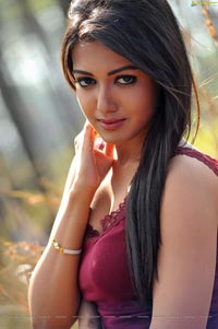 Paisa Heroine Catherine Tresa Photos