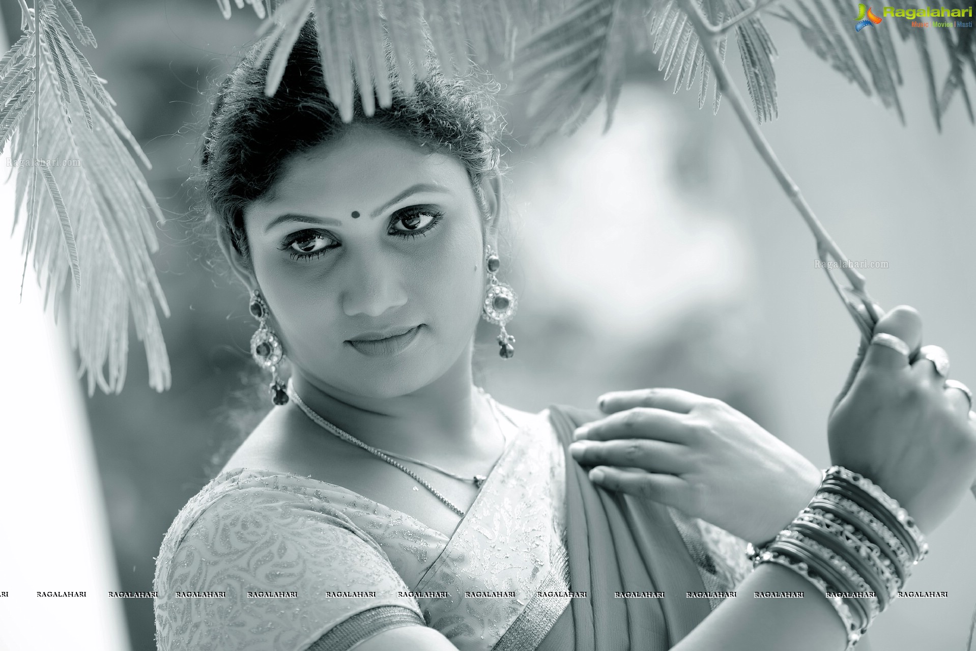 Shanti Reddy (High Definition)