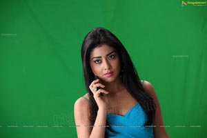 Shriya in Sleeveless Blue Dress