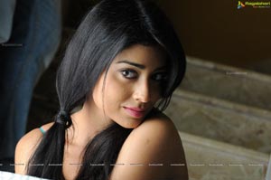 Shriya Saran High Definition Wallpapers