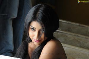 Shriya Saran High Definition Wallpapers