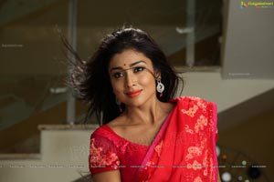 Hot Stills - Shriya Saran in Red Saree