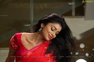 Hot Stills - Shriya Saran in Red Saree