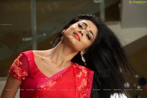 Hot Stills - Shriya Saran in Red Saree