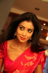 Hot Stills - Shriya Saran in Red Saree