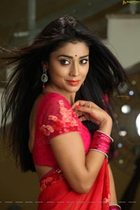 Hot Stills - Shriya Saran in Red Saree